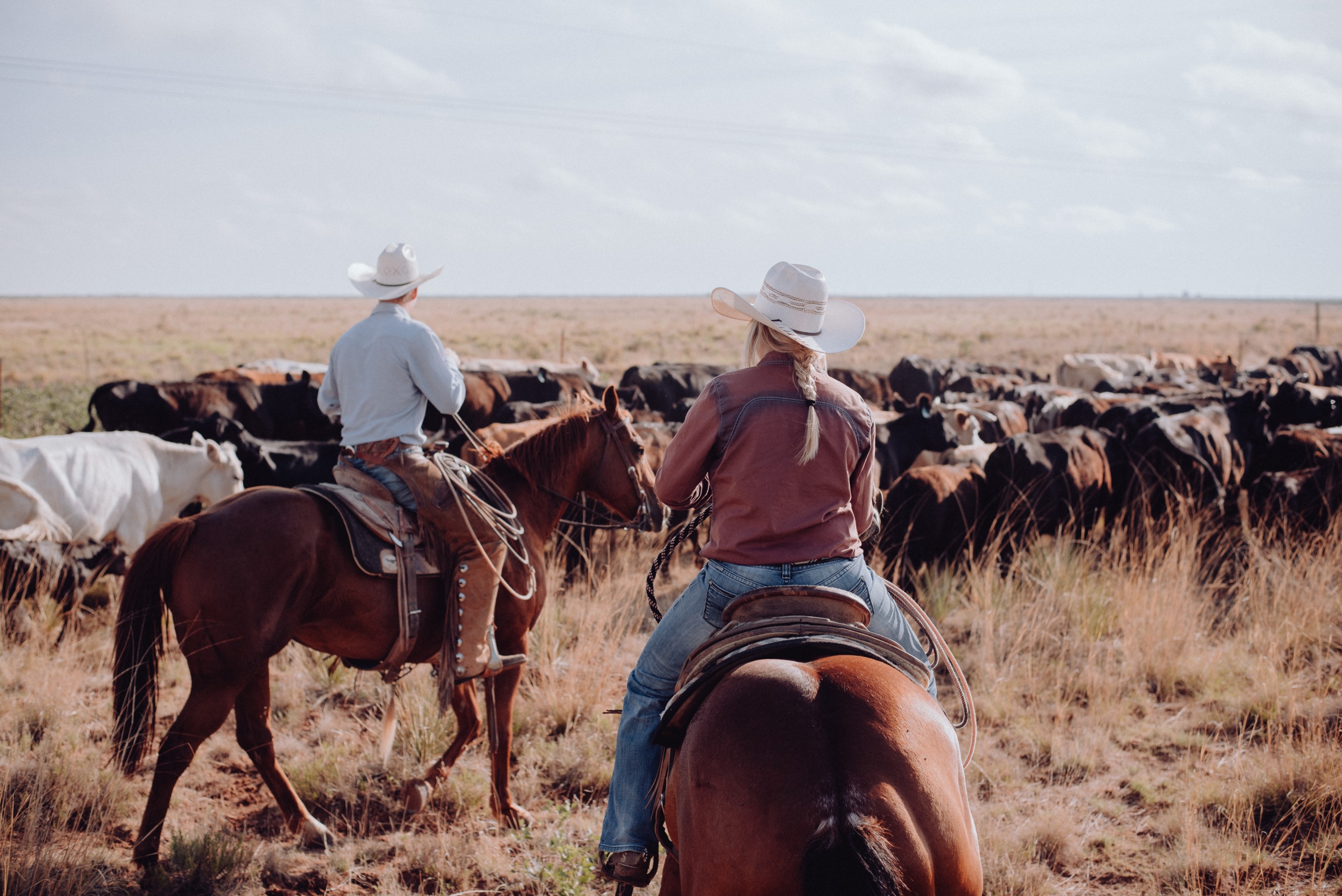 a couple horseback riding and guiding over a dozen horses at a ranch