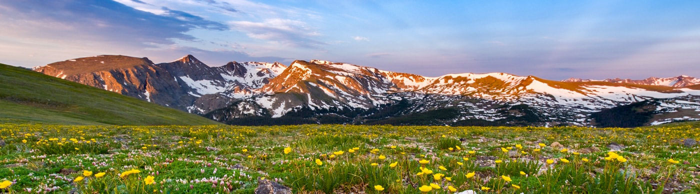 landscape photo of rocky mountains near ft collins, colorado. it's the sunset during springtime with flowers blooming and cotton candy sky.